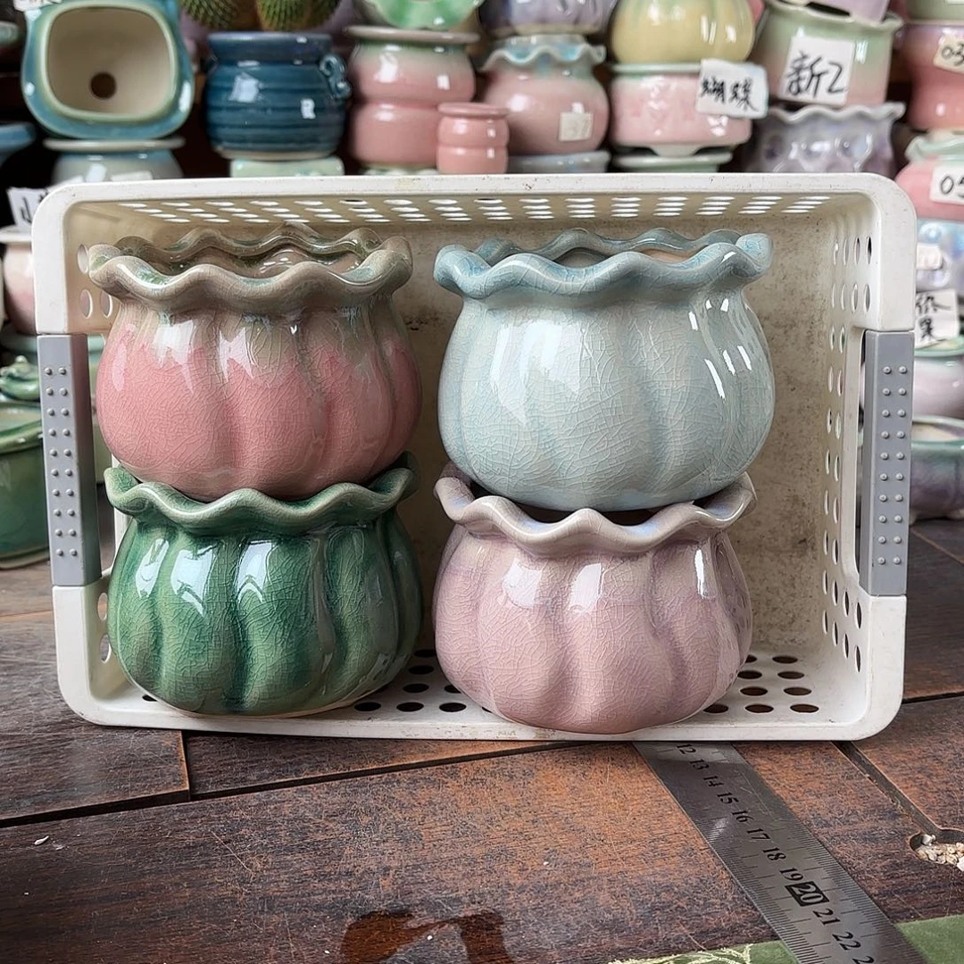 量货/口8高8深浅搭配发4