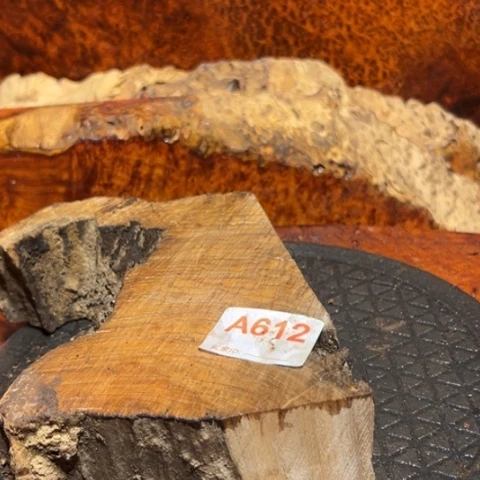 大果紫檀（缅甸花梨）