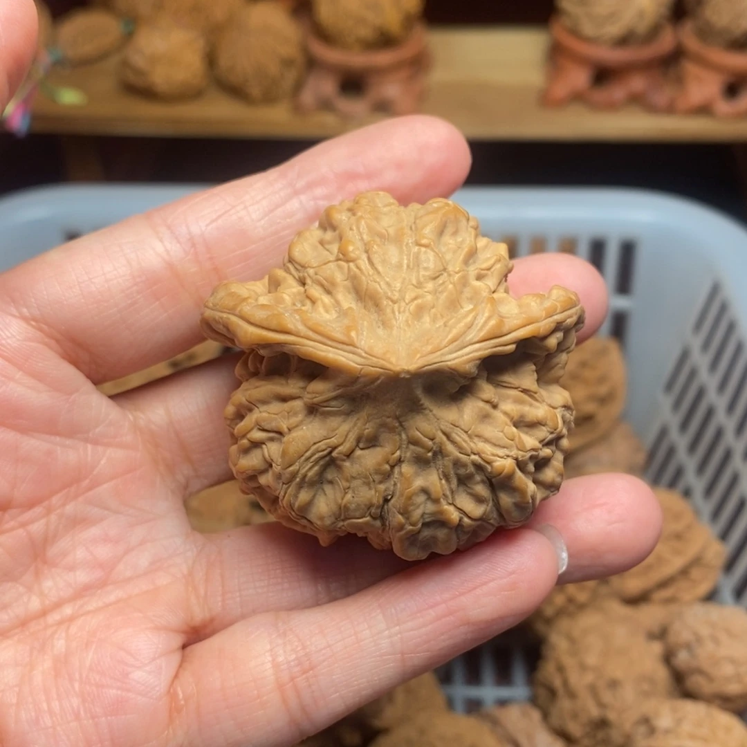 茄***子把件文玩核桃尺寸
