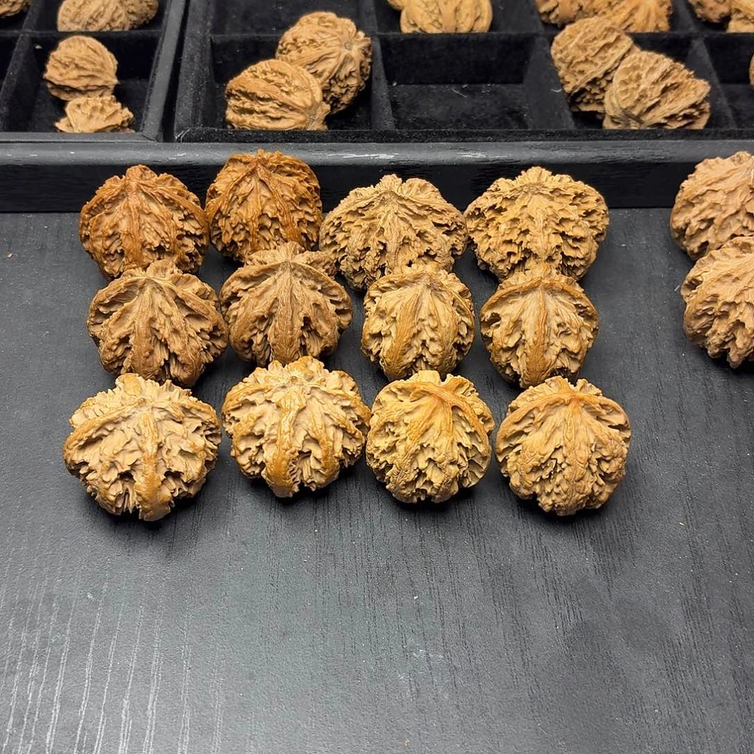 桃木突突突突突突突突