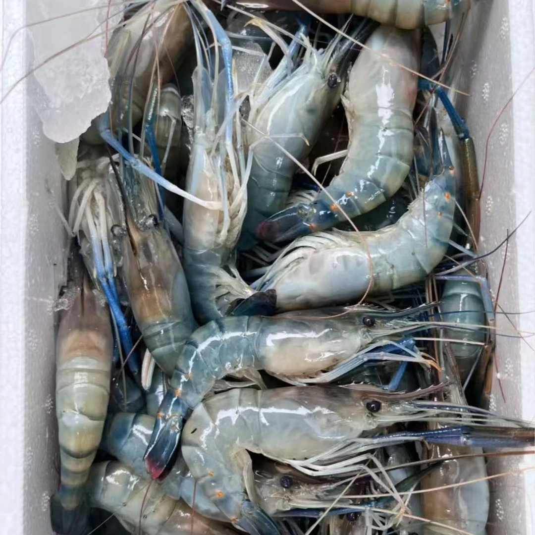 顺丰包邮大个头罗氏虾3斤净重无冰鲜活液氮锁鲜保准鲜活速冻