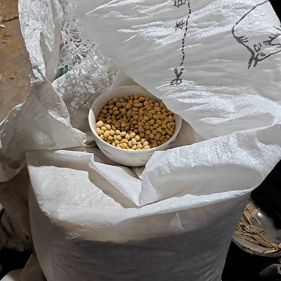 绿泥盘子碗茶壶啥都有5斤