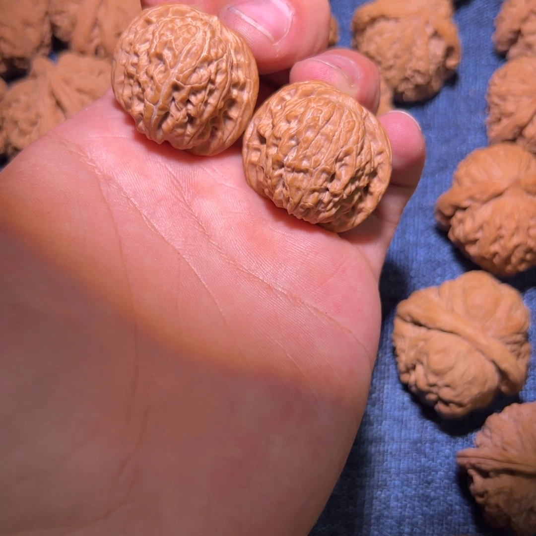 33全品正磨一对，皮质骨质到位