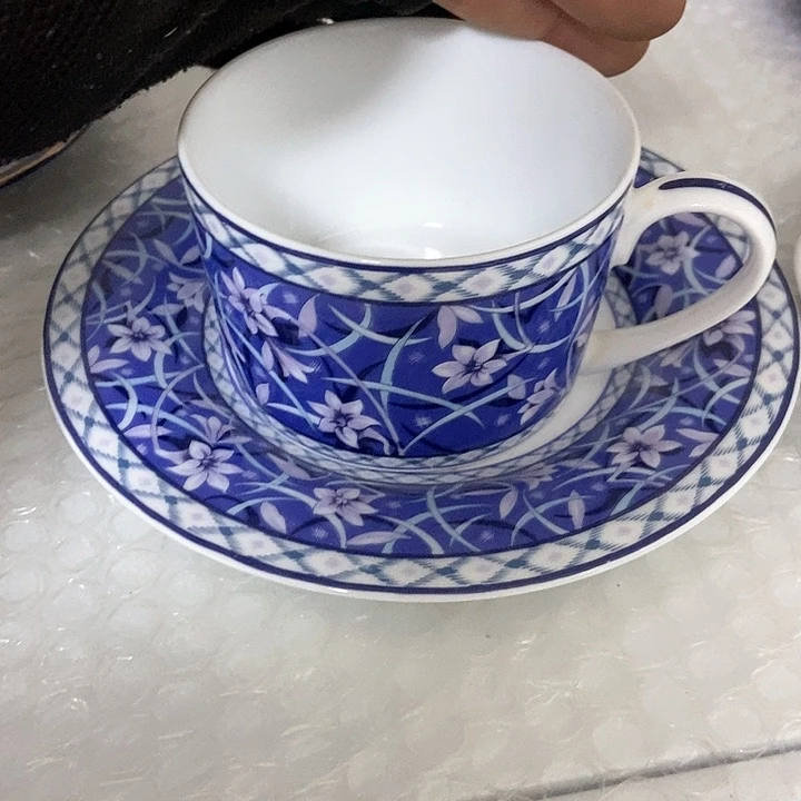 瓷片小****猫小奎子精选海外瓷器