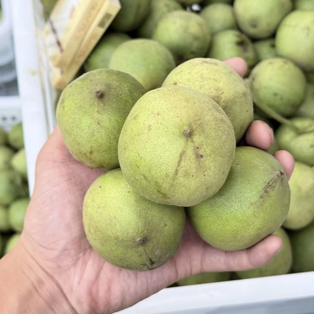 文玩核桃把件官帽青皮 拍1发5