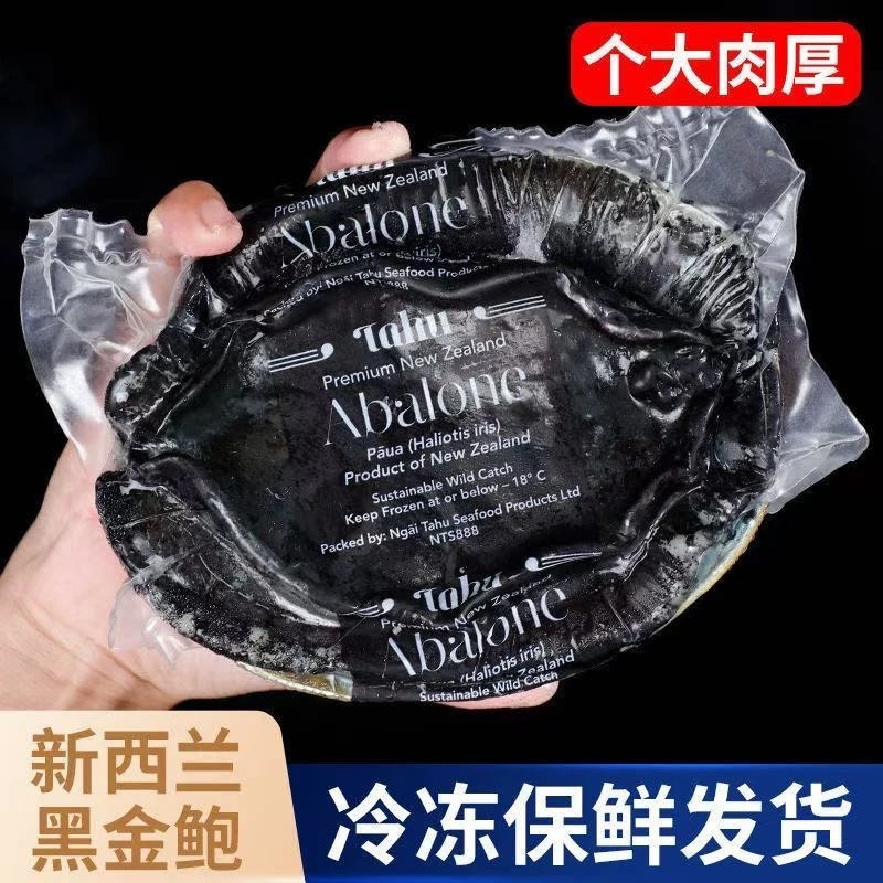 新西兰黑金进口鲍鱼新鲜海鲜冷冻刺身鲜冻特黑金鲍鲜活新鲜超大号