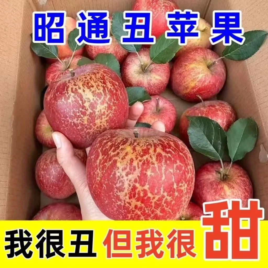 正宗昭通冰糖心丑苹果产地直采鲜脆好吃多汁