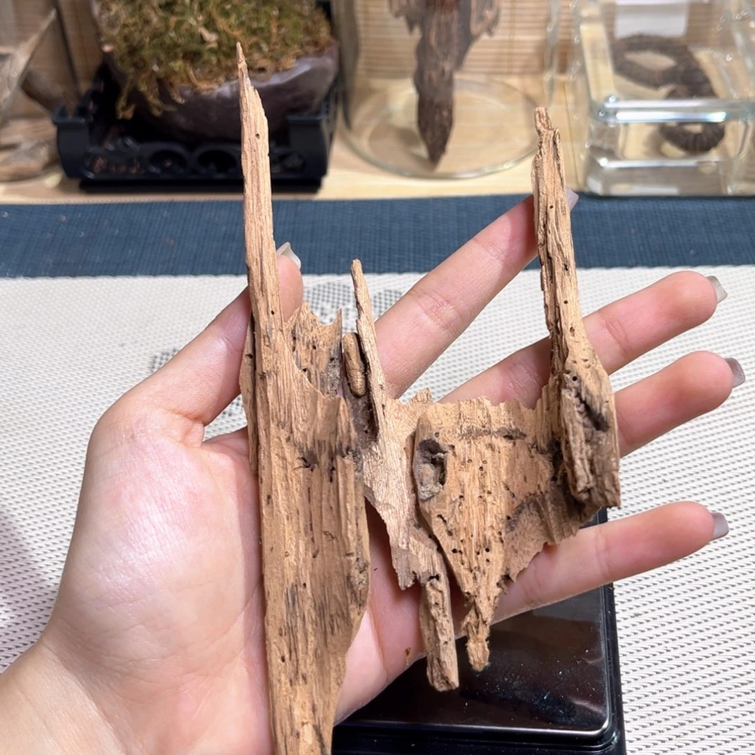 香榧木海南老房梁香胚15克