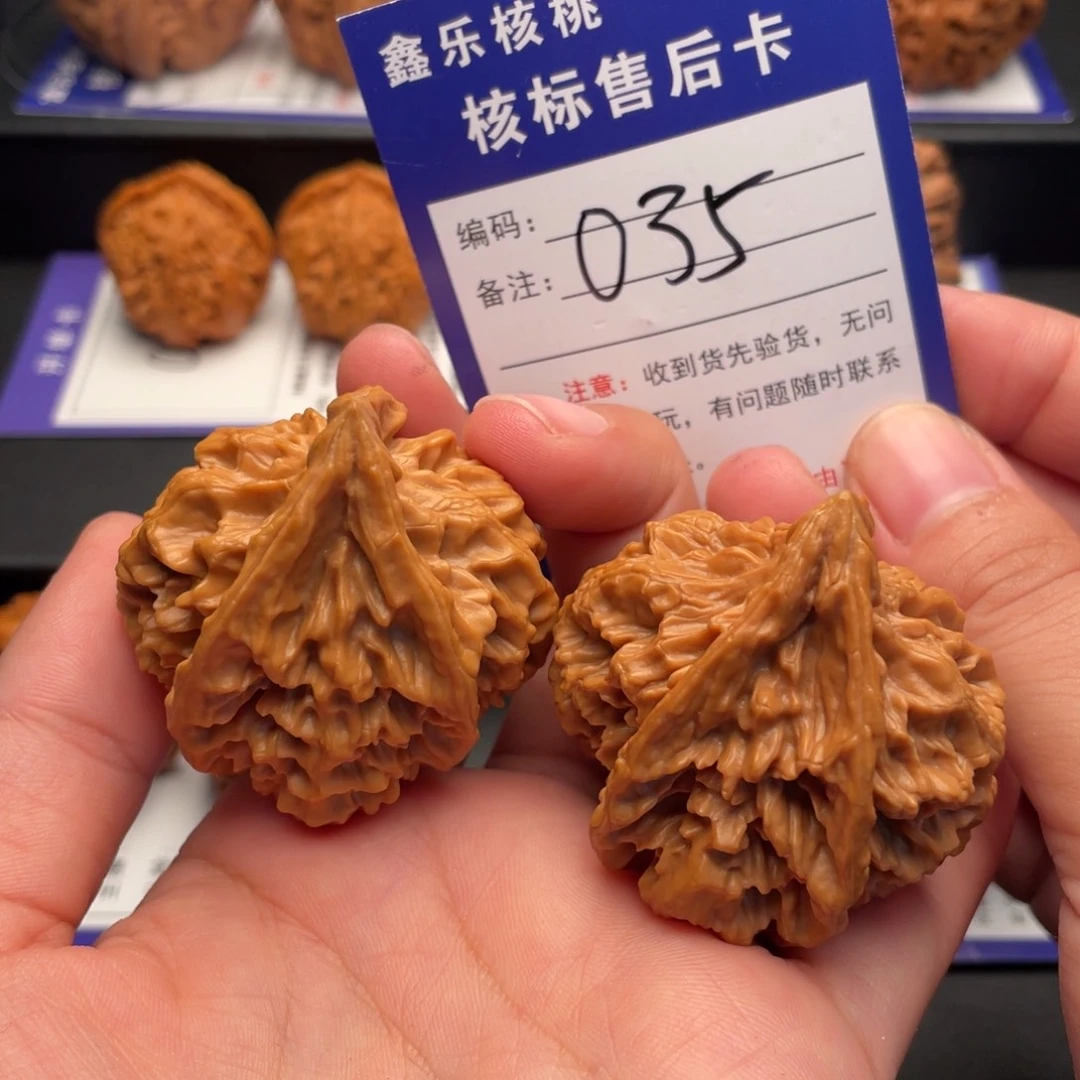 把件文玩核桃全品生命之源40尺