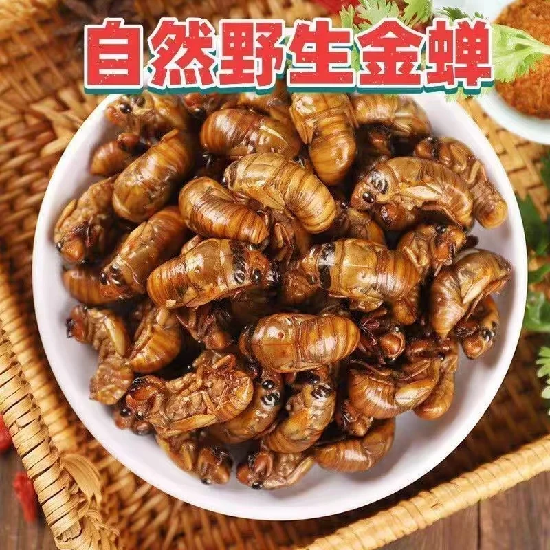金蝉新鲜知了猴爬叉冷链发货冷冻高蛋白饭店下酒菜
