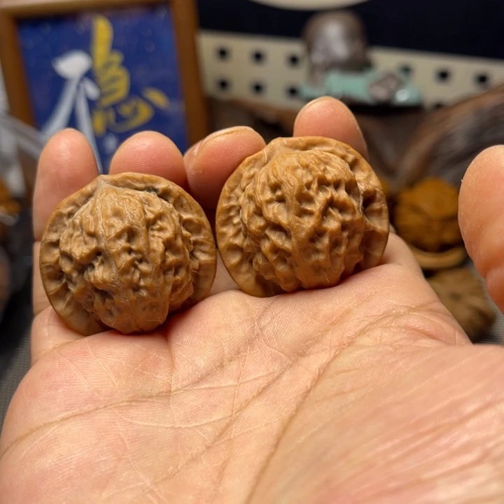 手串/手链核桃35瓷娃娃