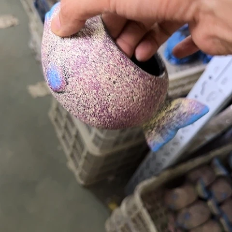 ····全是福利····