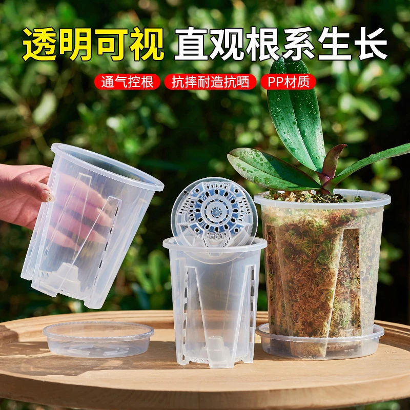 【蝴蝶兰专用3寸杯】透明控根盆蝴蝶兰透气塑料花盆家用观根兰花盆