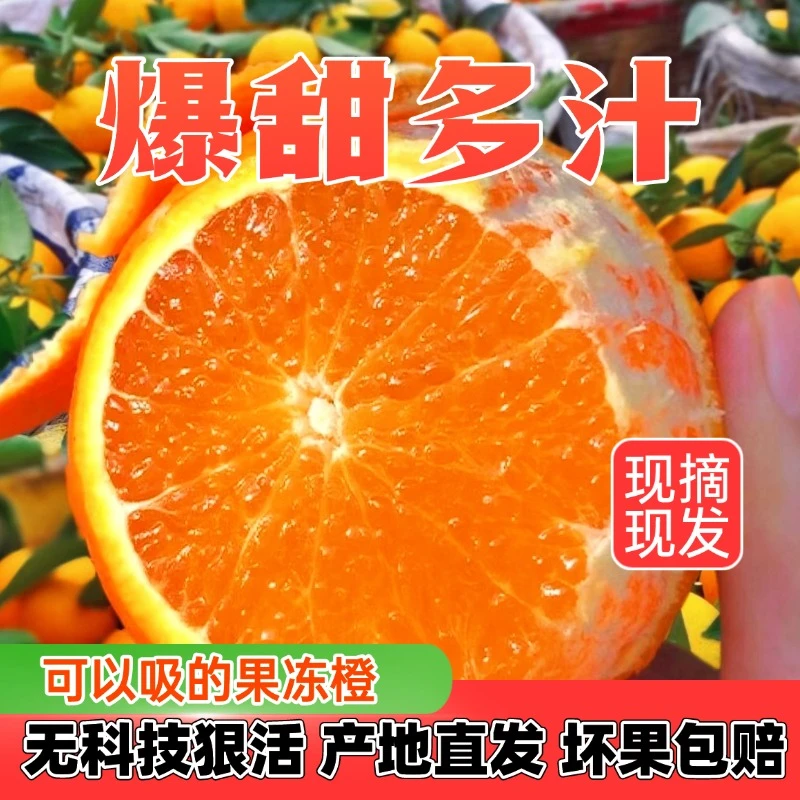 四川重庆爱媛38号果冻橙皮薄多汁当季新鲜手剥橙子现摘文旅现发