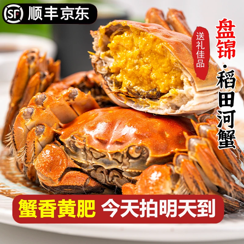 明天到【活公母蟹】盘锦河蟹母蟹0.8-1.1两/只 公蟹1.0-1.3两/只 12只送12只共发24只童小二TY