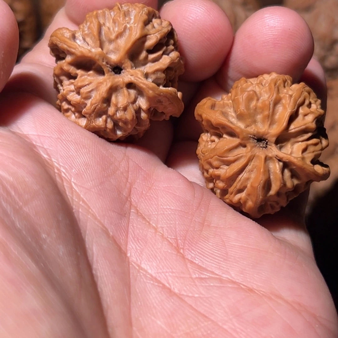 真****瑞麟文玩核桃苹果圆