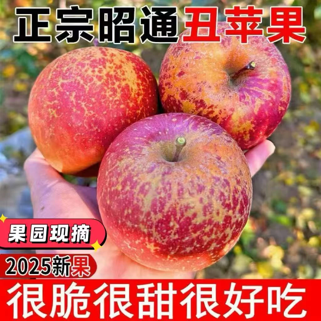 云南昭通丑苹果脆甜多汁产地直发