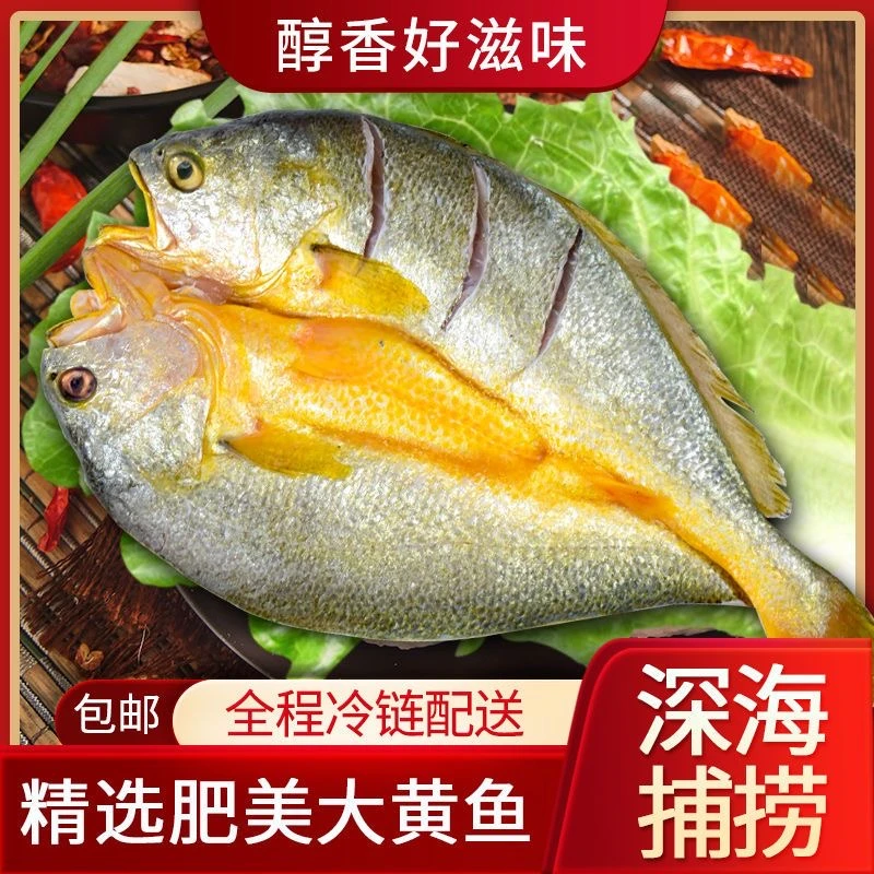 【顺丰】大黄鱼鲞深海捕捞三去免处理新鲜开背黄鱼产地直发