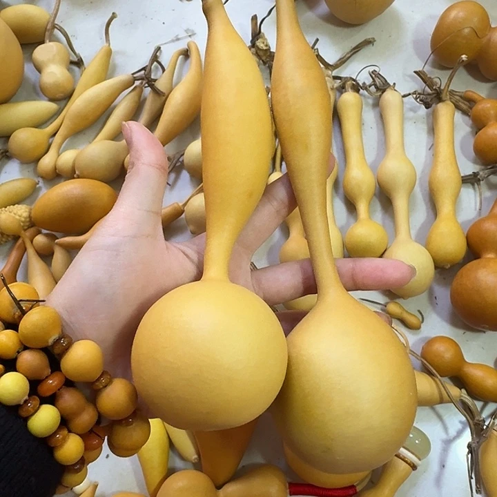 色差蚂蚁祝您生活愉快