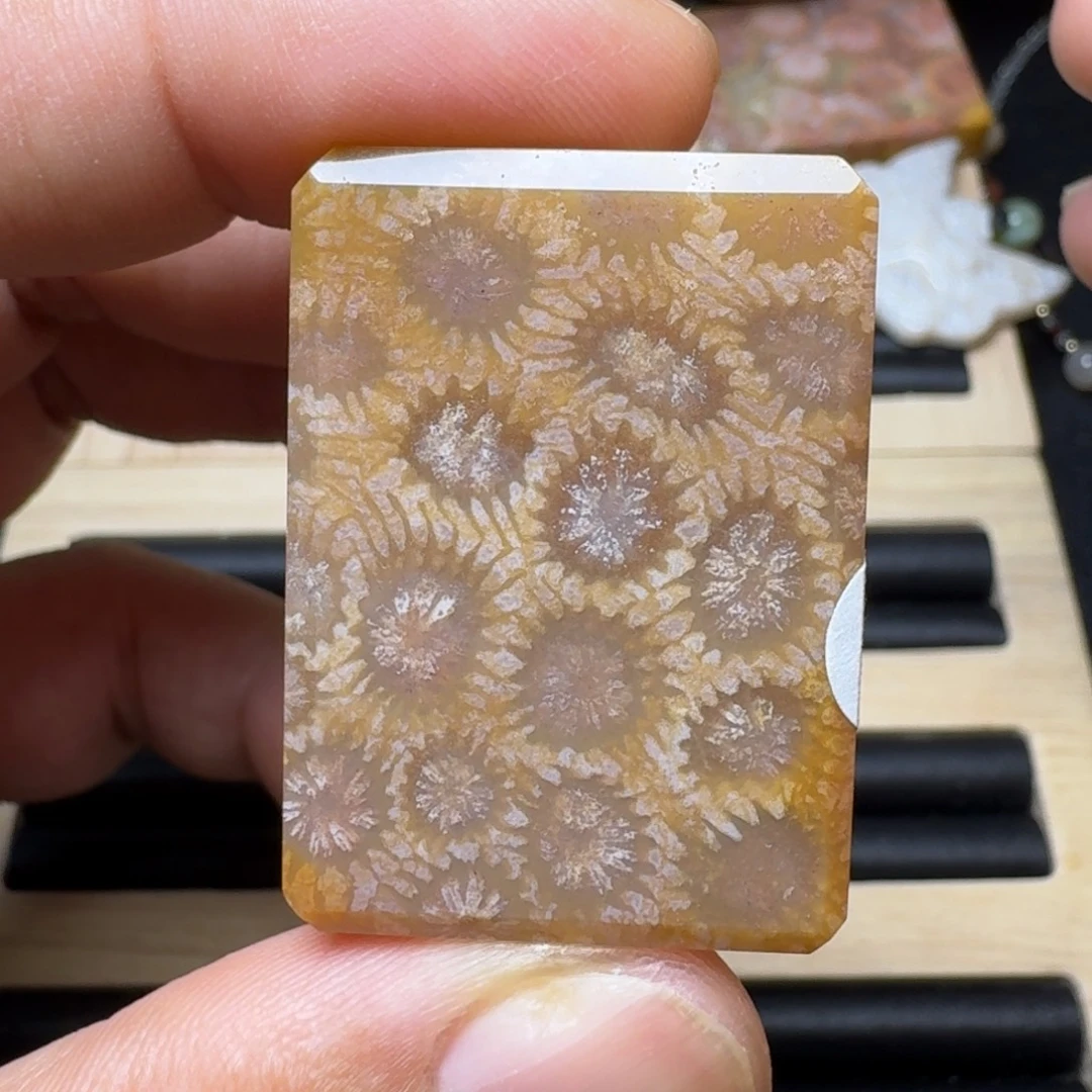 未镶嵌纯天然色有机玉石保真色硅化玉