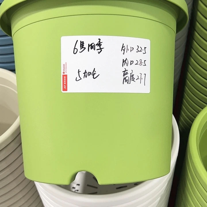 正品6号四季口32.5高27.7果绿无托7只