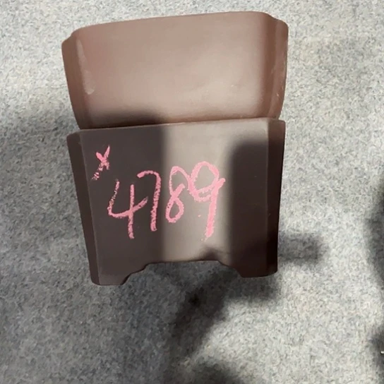 紫砂花盆从**在紫砂花盆