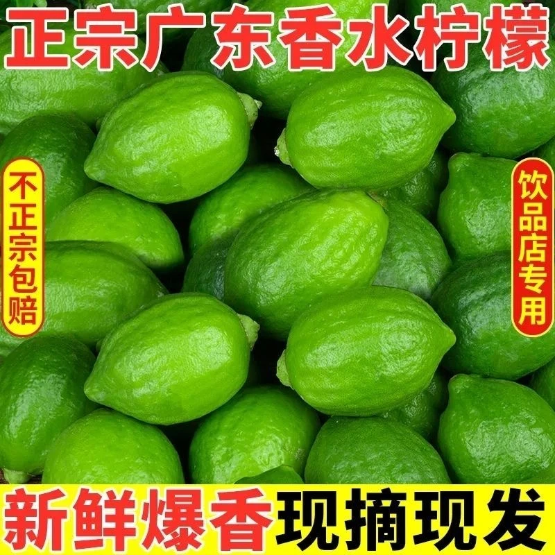 正宗香水柠檬新鲜采摘奶茶店榨汁用实惠应季水果酸爽包邮