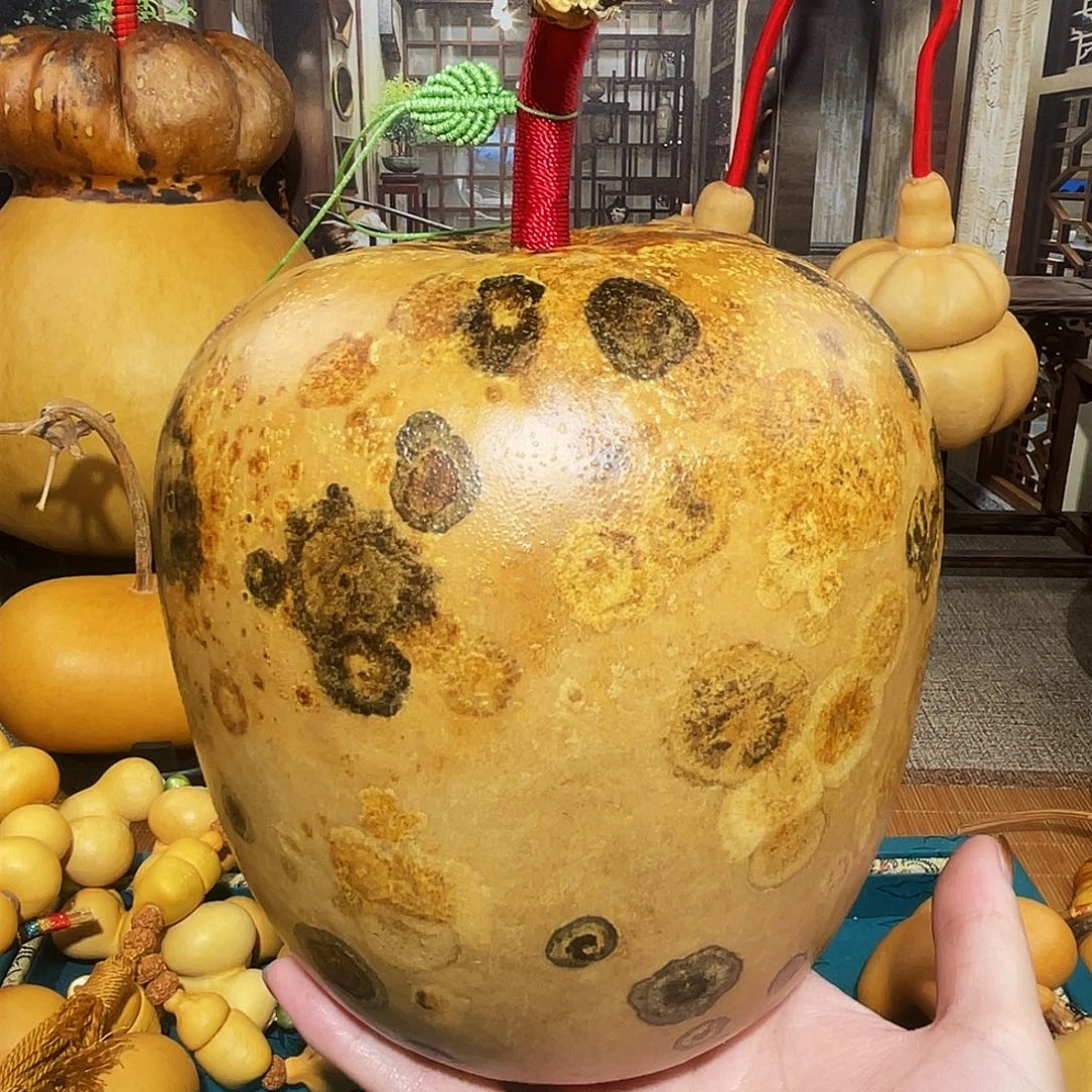 ?***空葫芦呀呀呀呀呀呀呀呀呀呀