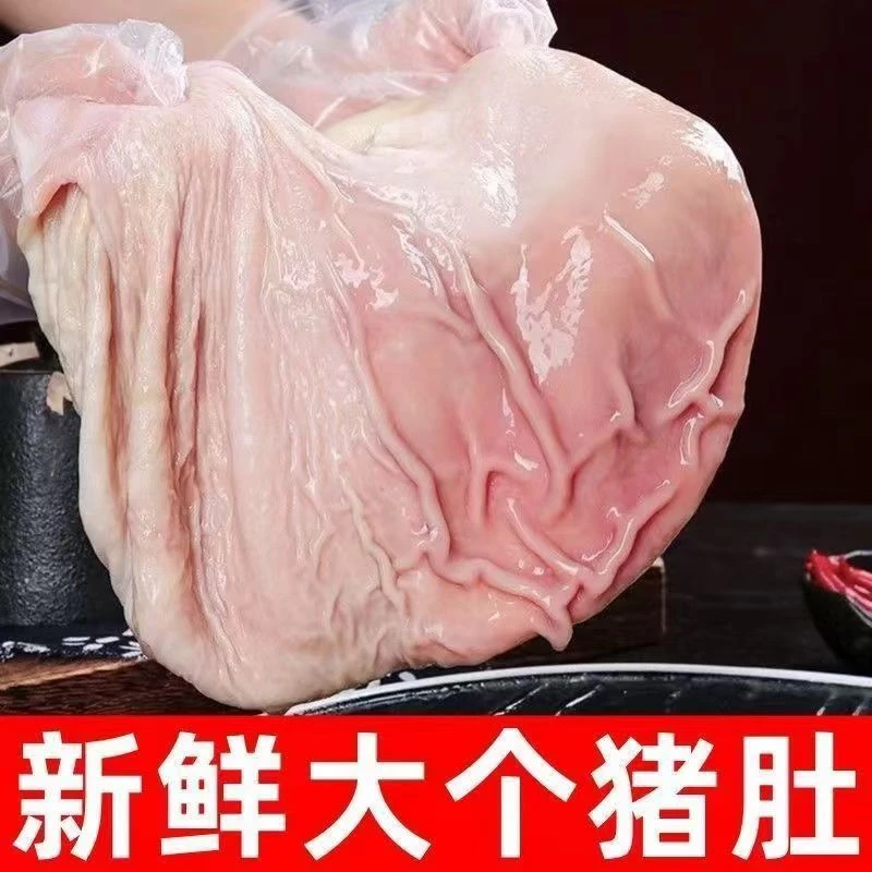 顺丰包邮整个猪肚拍2个到手3-4个新鲜农家土猪猪肚速冻锁鲜京东