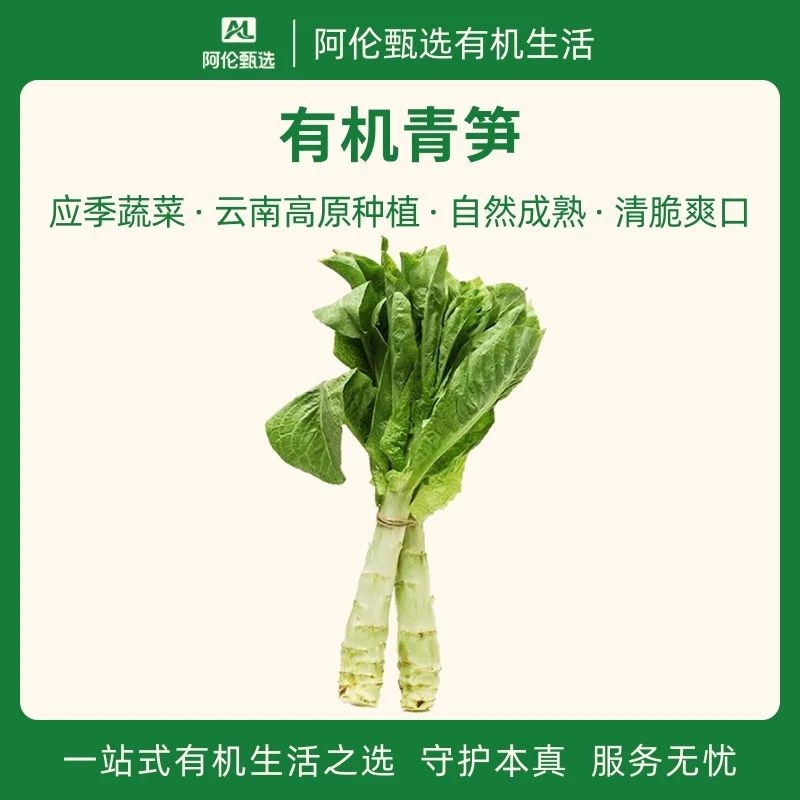 良道天成【有机紫叶青笋】新鲜应季蔬菜无农残现挖顺丰包邮