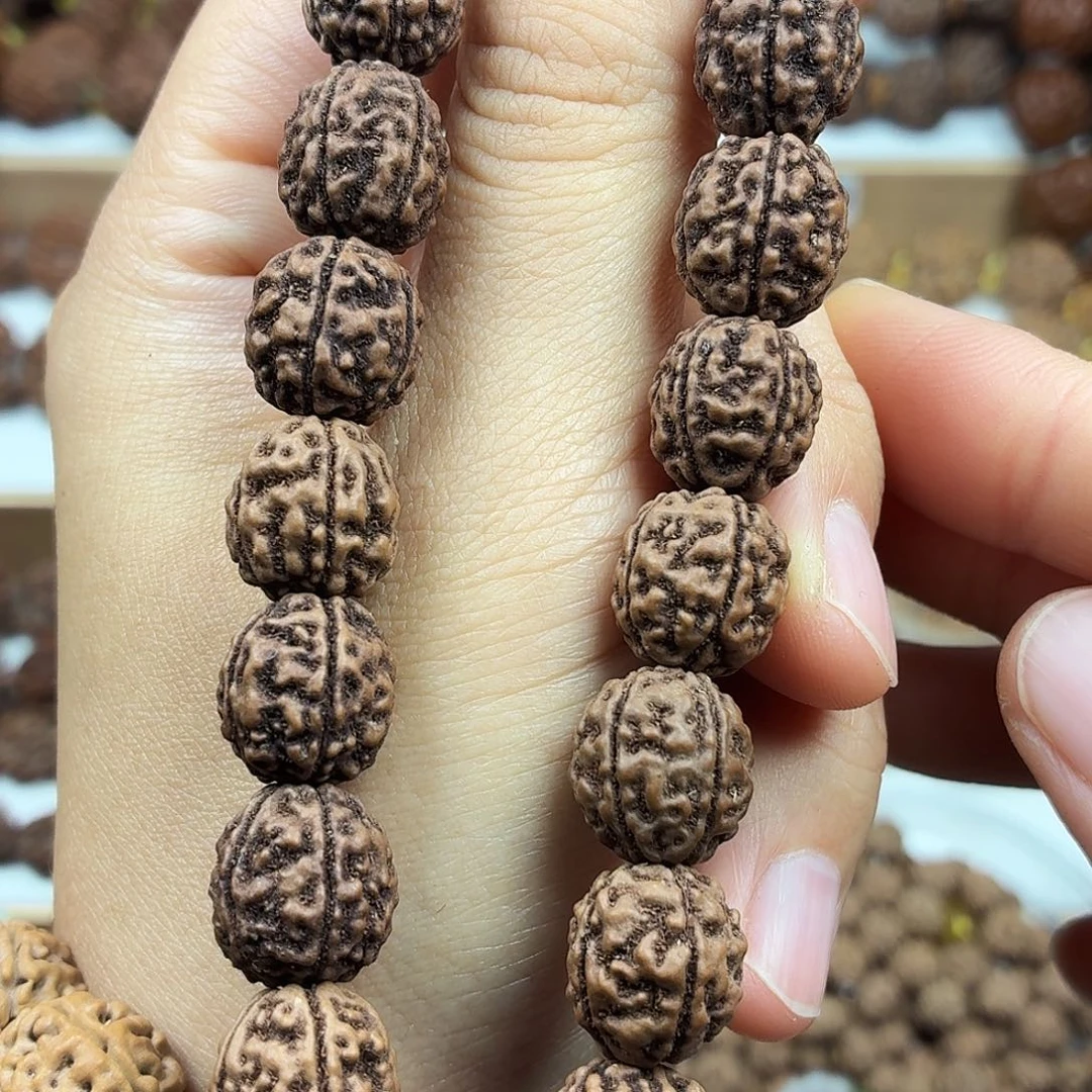 金刚菩提手串稀有精品恐龙蛋