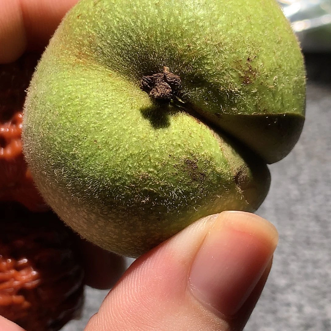 满天星的你是最棒