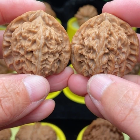 三角白39全品11111111