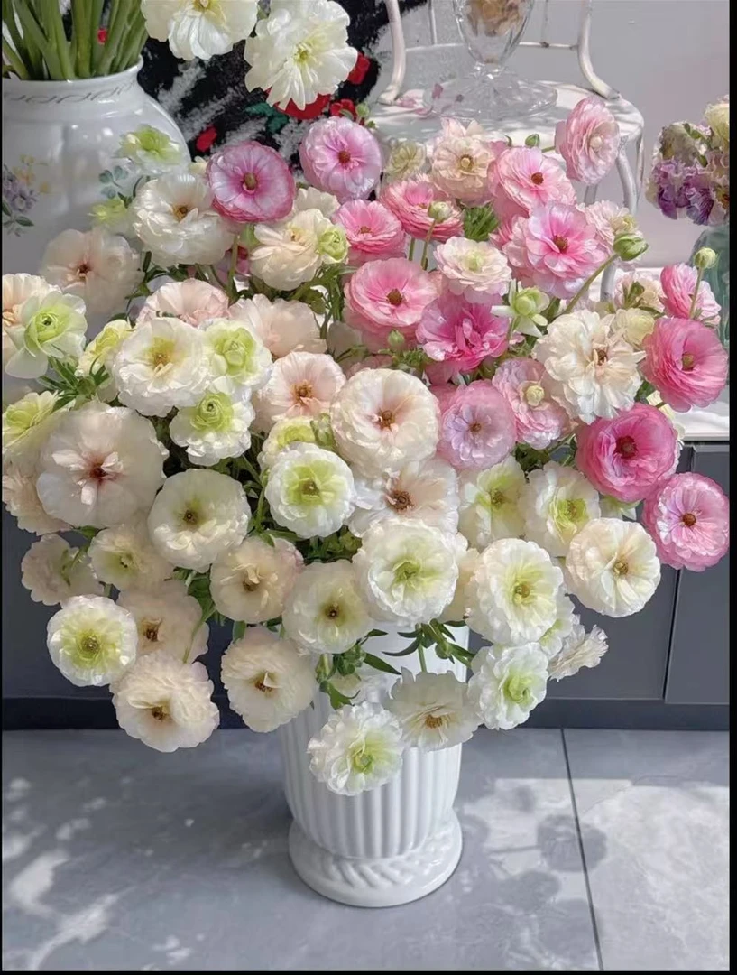 【新人浮力】【混色蝴蝶洋牡丹】客厅养护高质感高级氛围感鲜花