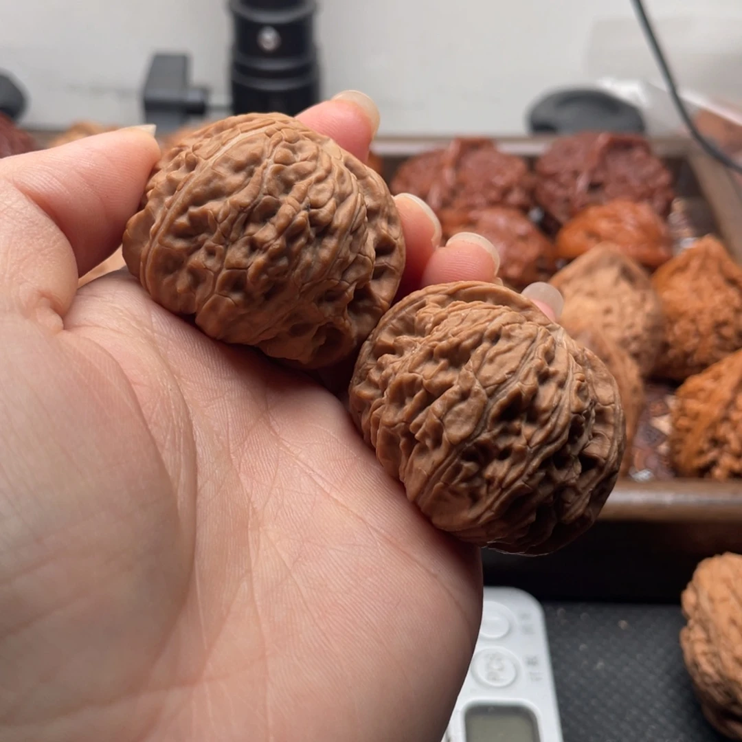 1***0核桃手串/手链白狮子41尺全品