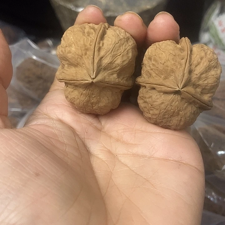 文玩核桃把件云南铁核桃基地39