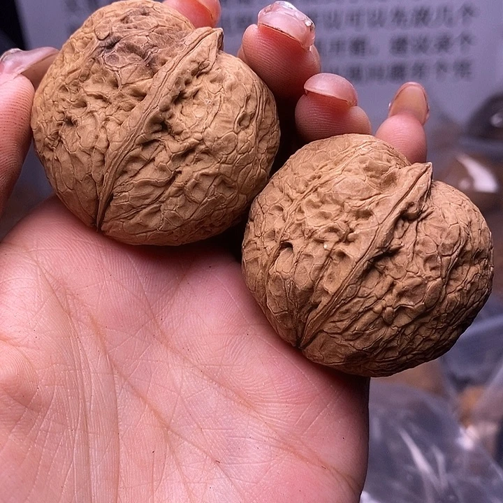 核桃云南野生铁核桃45号41mm