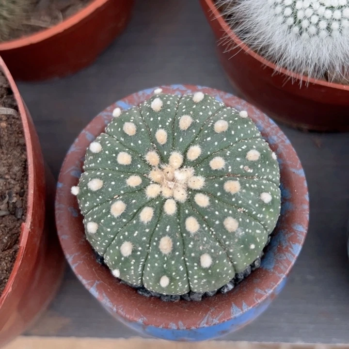 金***1零零落落零零落落。