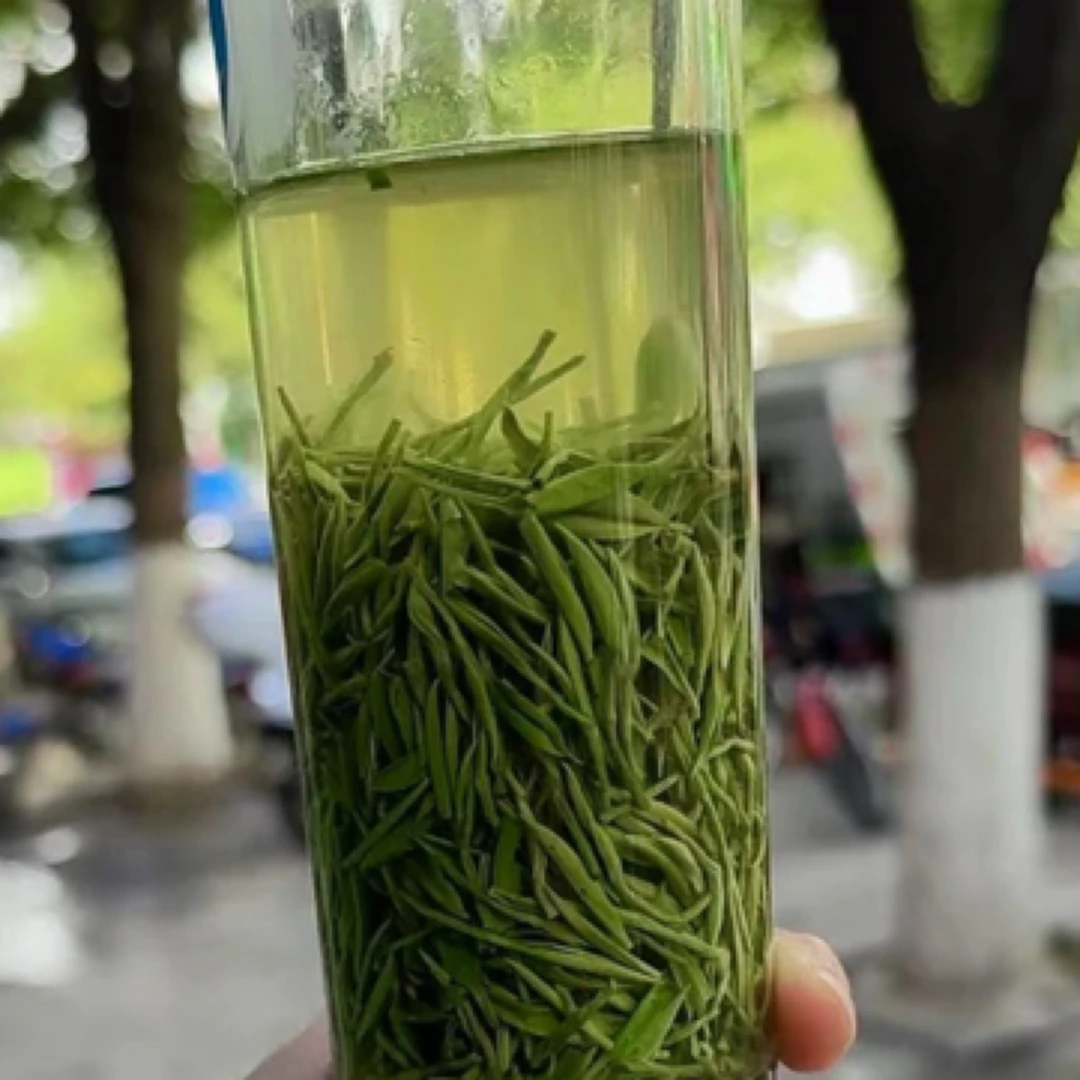 2025新茶浓香春芽毛尖（288）