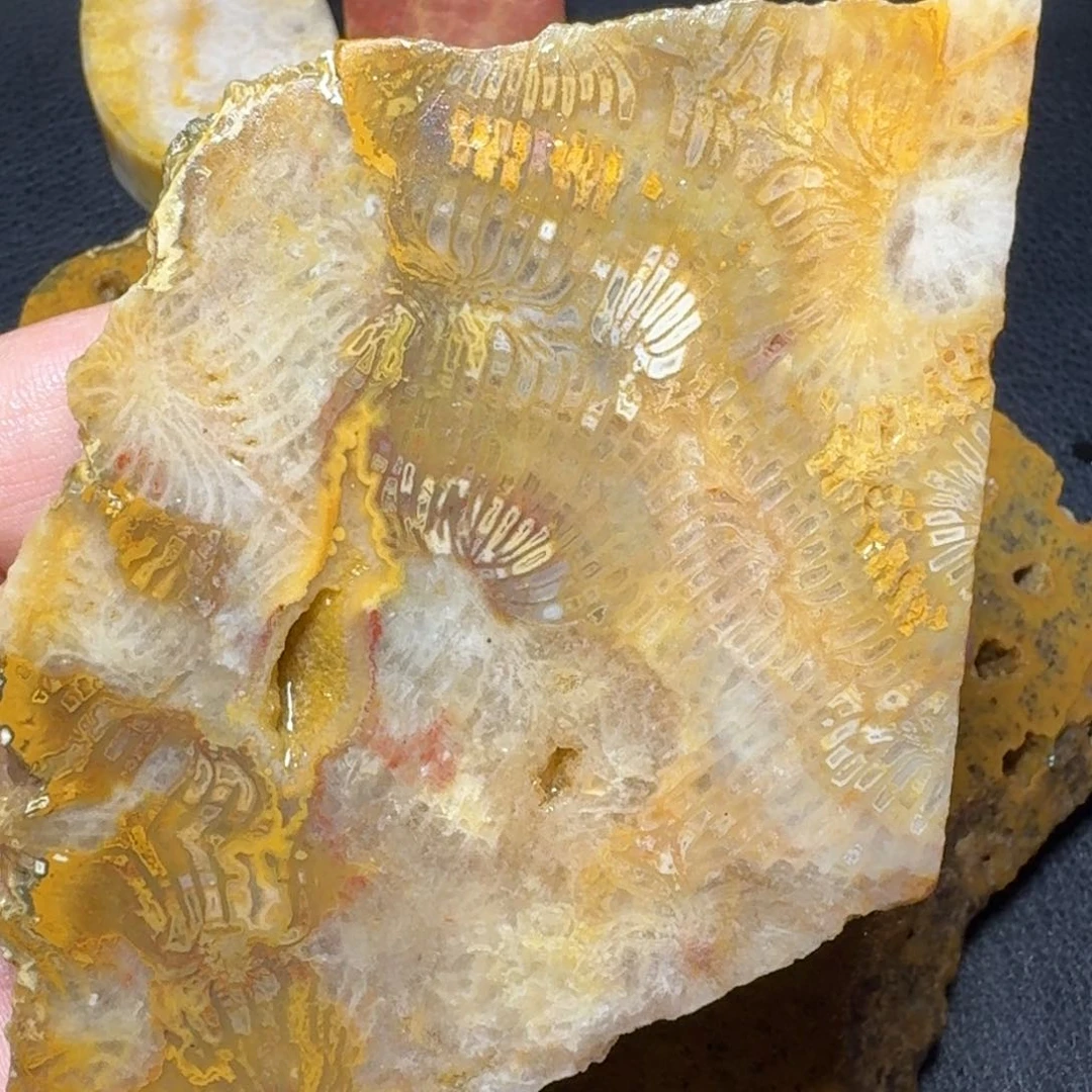 硅化玉原石 片料未镶嵌