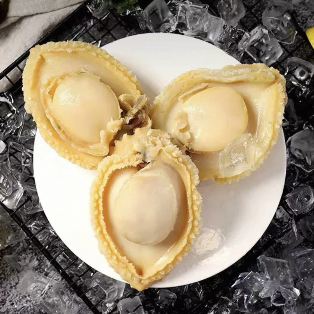 【黄金鲍鱼肉鲜冻】九孔鲍鱼盐磨去壳内脏8颗约520克-540克之间每包