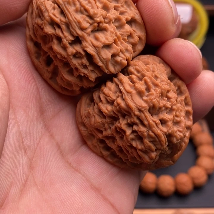 文玩核桃把件狼**学南疆