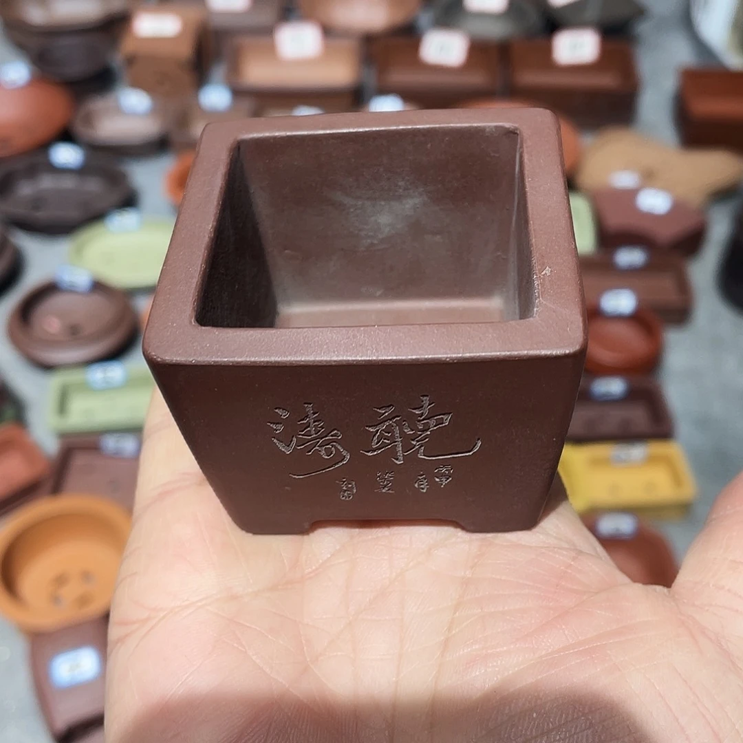 紫砂厚****）紫砂小盆4.8