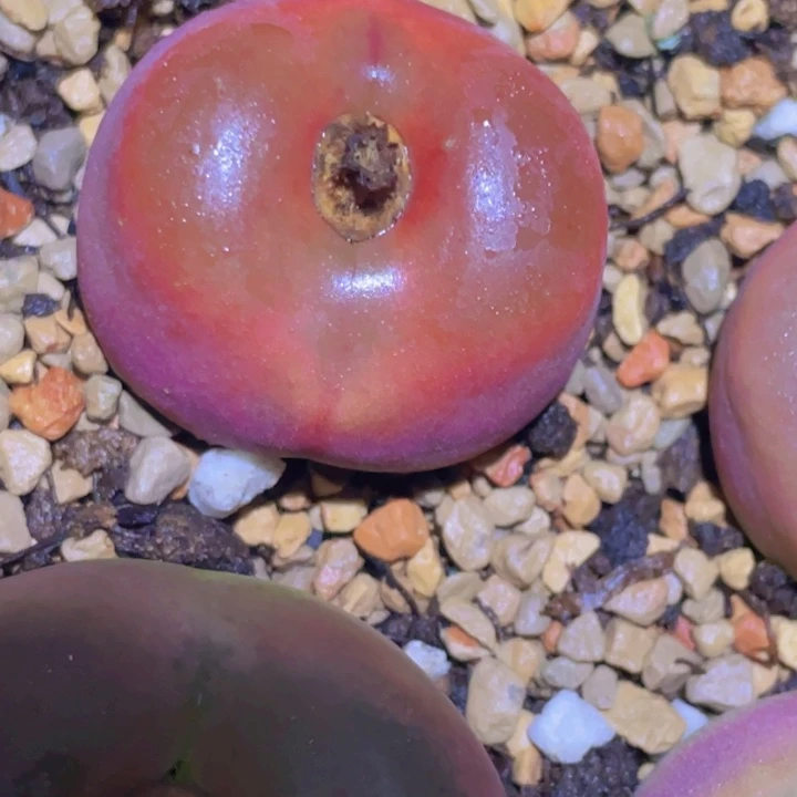 45958958658998858858