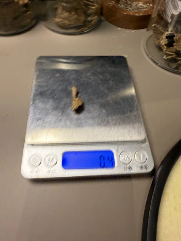 0.4克香港沉水根部土