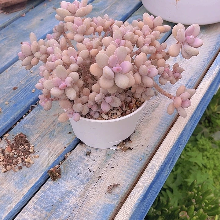 名***露带盆哈哈哈哈我哈哈哈哈哈哈哈