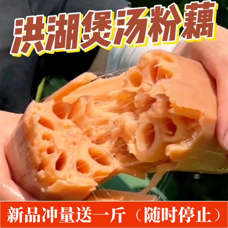 正宗湖北洪湖粉藕现挖现发新鲜九孔莲藕煲汤粉糯香甜炖汤炖排骨