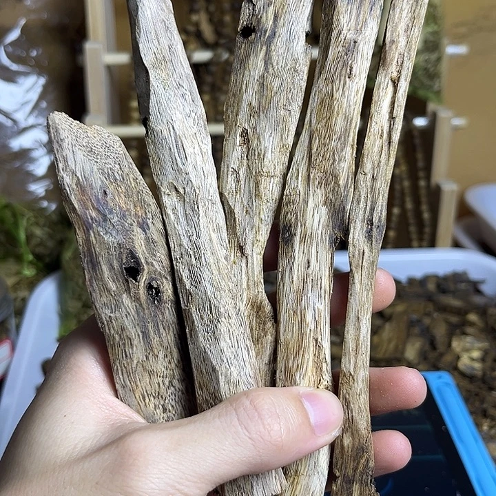 沉香碎屑沉香凤凰尾，味道外放浓郁，香味十足，能满足偏爱沉香香味
