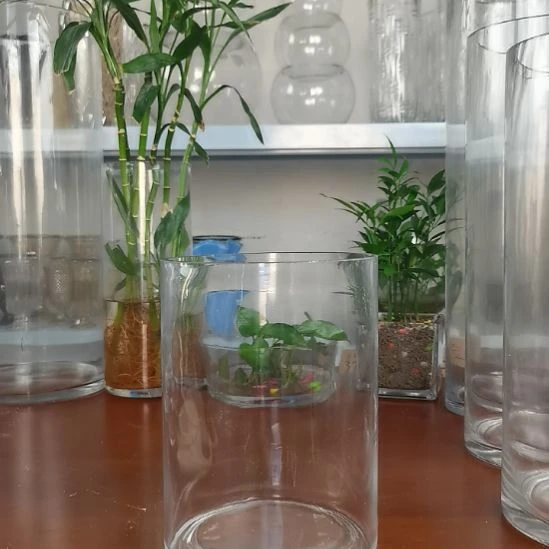 玻璃昌达玻璃直筒高度20口径15