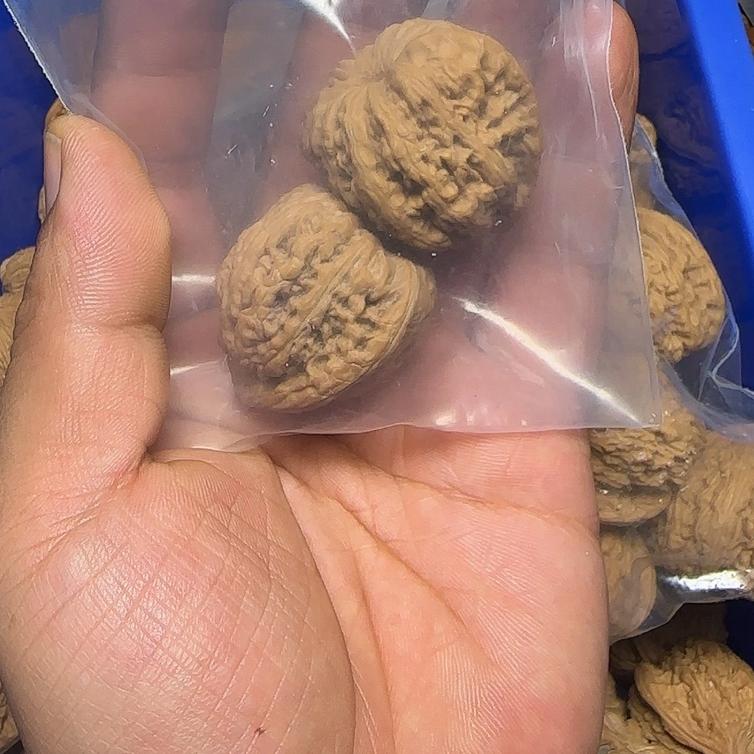 把件文玩核桃承德秘纹
